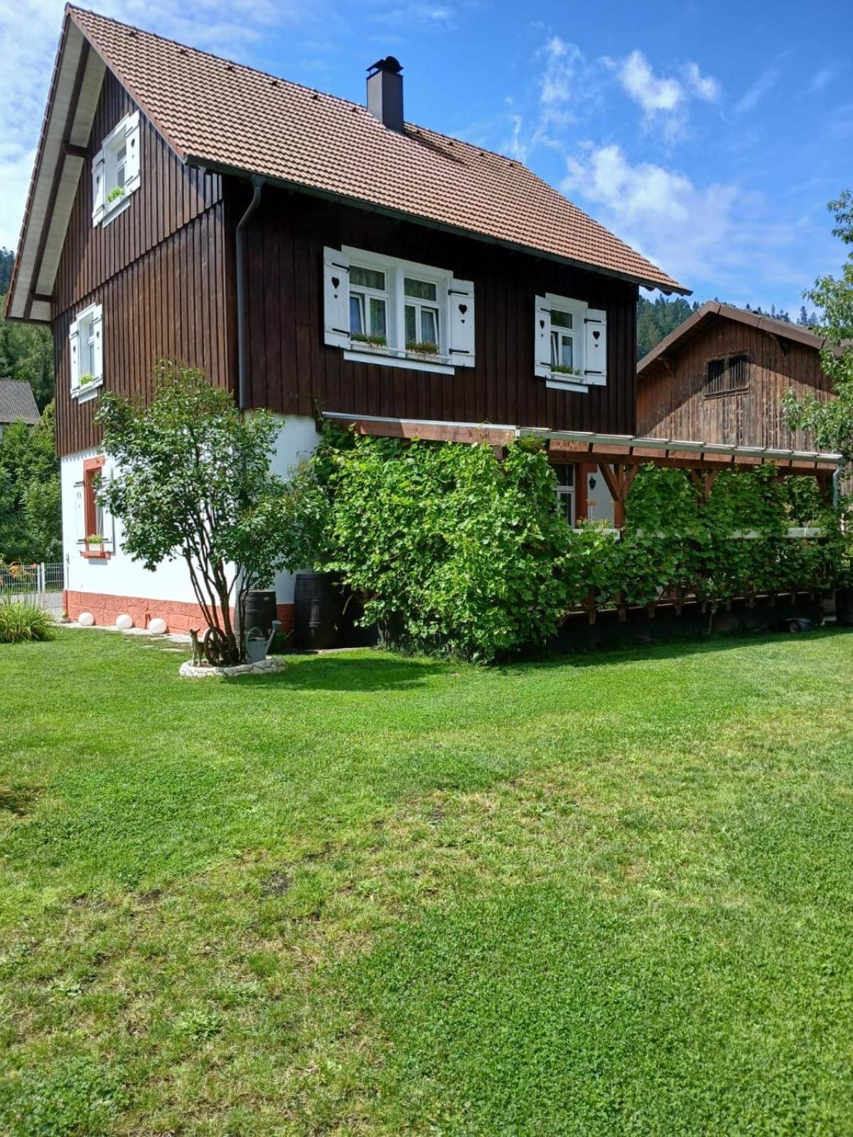 Familienfreundliches-Luxus-Bahnwaerterhaus Villa Schiltach Dış mekan fotoğraf